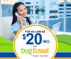 Fiber prmo | Bug Tussel Wireless
